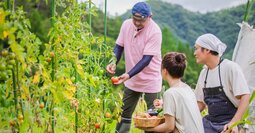 【定年後の仕事】65歳以上の就業者数ランキング、高齢になっても続けやすい「1位」の職種とは？ 理由も深掘り