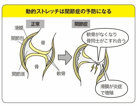 【『世界一受けたい授業』で話題】運動前のストレッチ、じつは大間違い!?マイナス効果を生む“間違った常識”やるなら、このストレッチ！