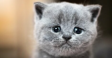 「恐ろしく仕事ができない人」の特徴・ワースト1