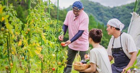 【定年後の仕事】65歳以上の就業者数ランキング、高齢になっても続けやすい「1位」の職種とは？ 理由も深掘り［見逃し配信・9月第4週］