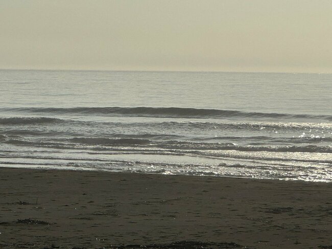 海底の砂の形は日々変化します。そこに入るうねりも風も刻々と変わります。先週まで最高だったポイントが、今週は全くボウズになってしまったりもする。そこがまた、波乗りの面白いところです