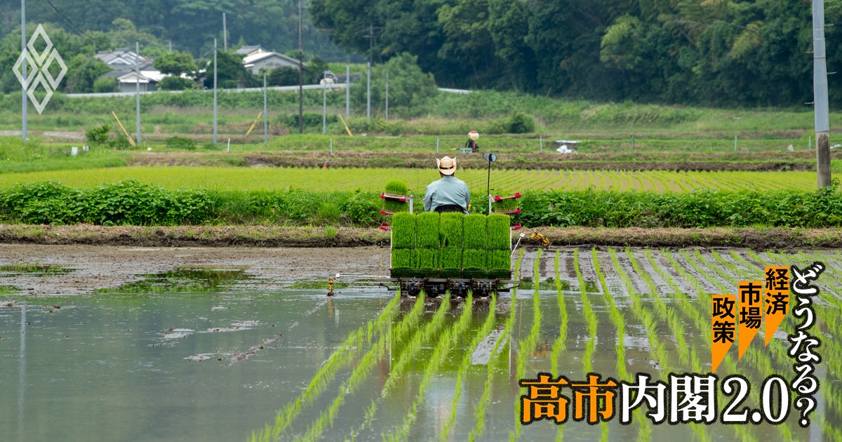 高市政権「需要に応じた生産」食糧法改正案で進むコメ統制、米価維持政策に欠ける食料安全保障の視点