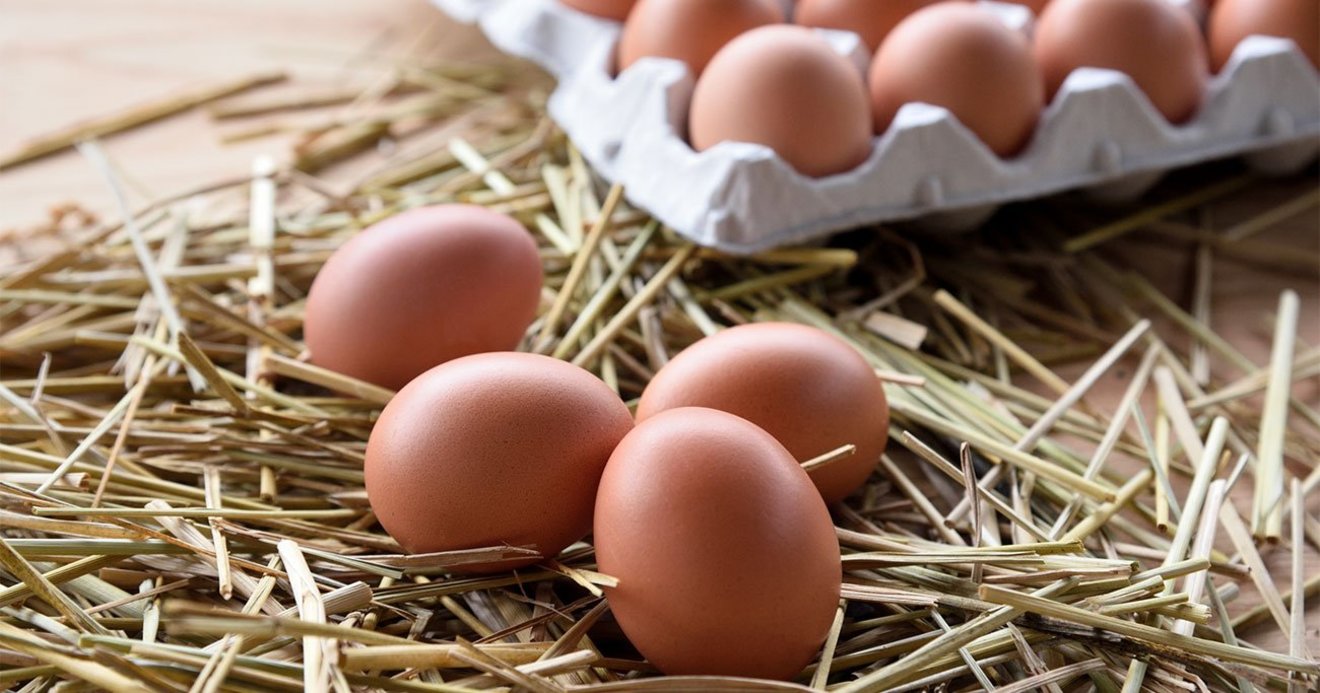 毎日食べるものほどこだわりたい 安全な卵の選び方とは 脳の毒を出す食事 ダイヤモンド オンライン