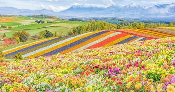 都道府県魅力度ランキング2024【47都道府県・完全版】