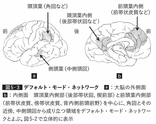 図表:デフォルト・モード・ネットワーク