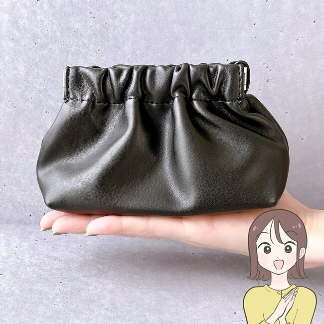 カードが30枚も入った！3COINSの「片手でパカッと開くポーチ」お財布代わりに使えて便利！《購入レビュー》