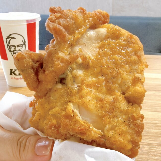 「やっぱりお前最高だよ」ケンタッキーの“夏限定よくばりセット”お腹パンパンなのに次の日も食べたくなる！「ガチでうまい」「あっという間に食べきっちゃった！」《実食レビュー》