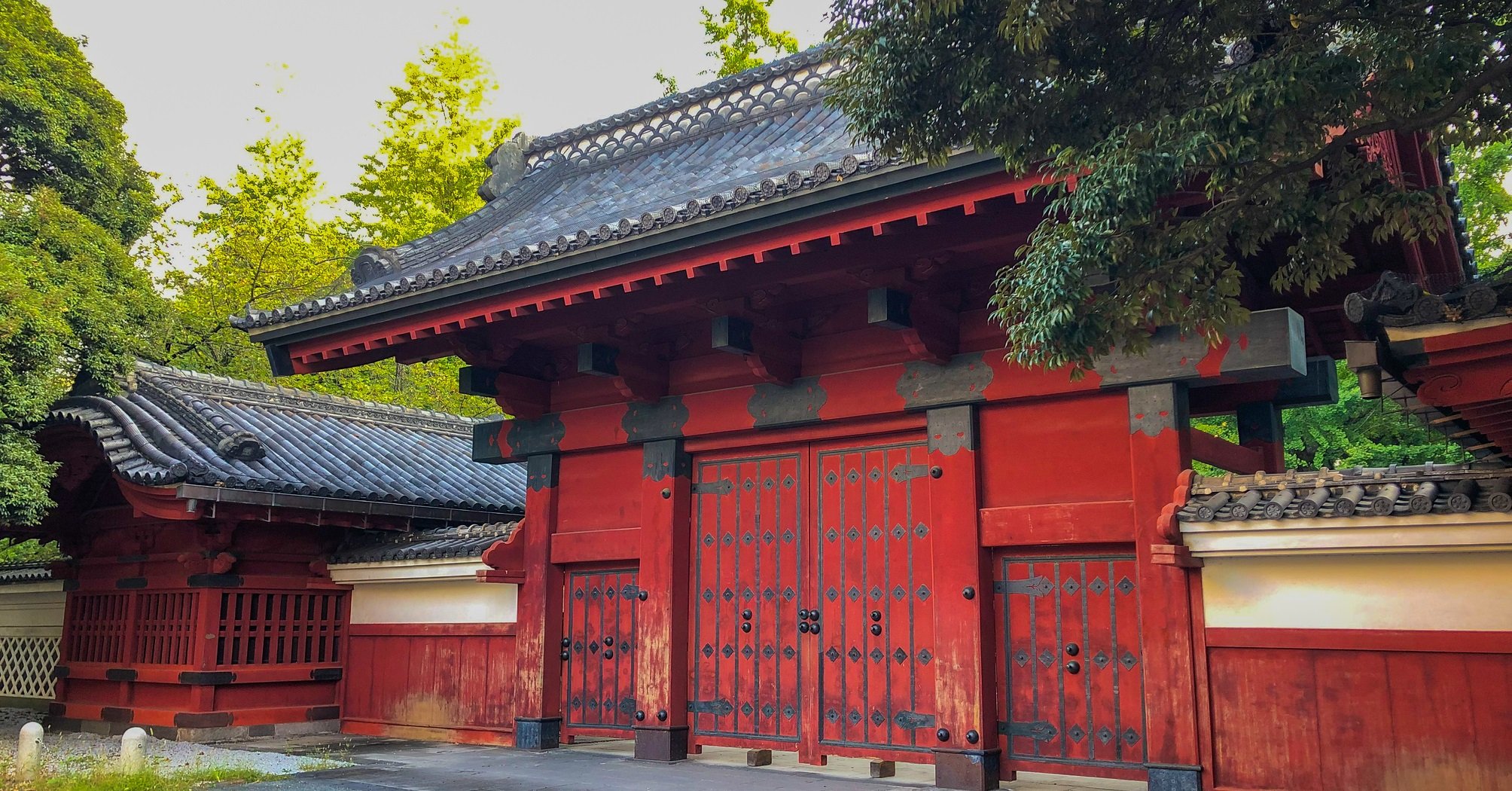 「東大理IIIに合格する人」の共通点、勉強以外の“ある才能”とは?