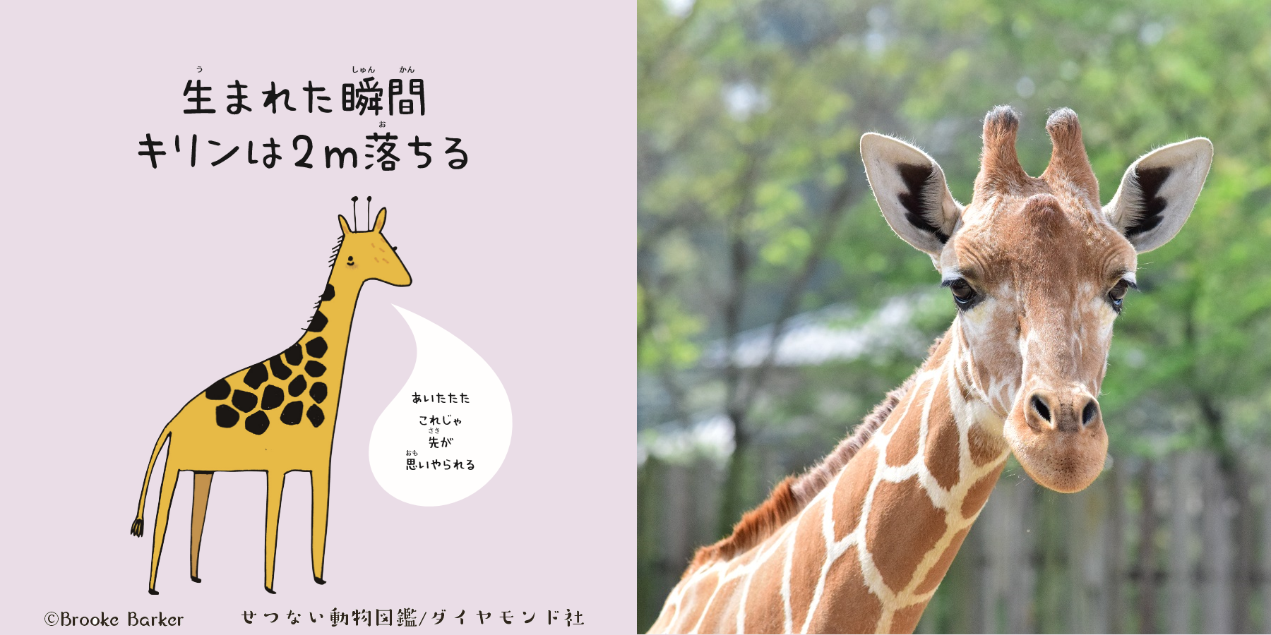 東武動物公園で生まれた「ジャスティン・ビーバー」ってナニ者？