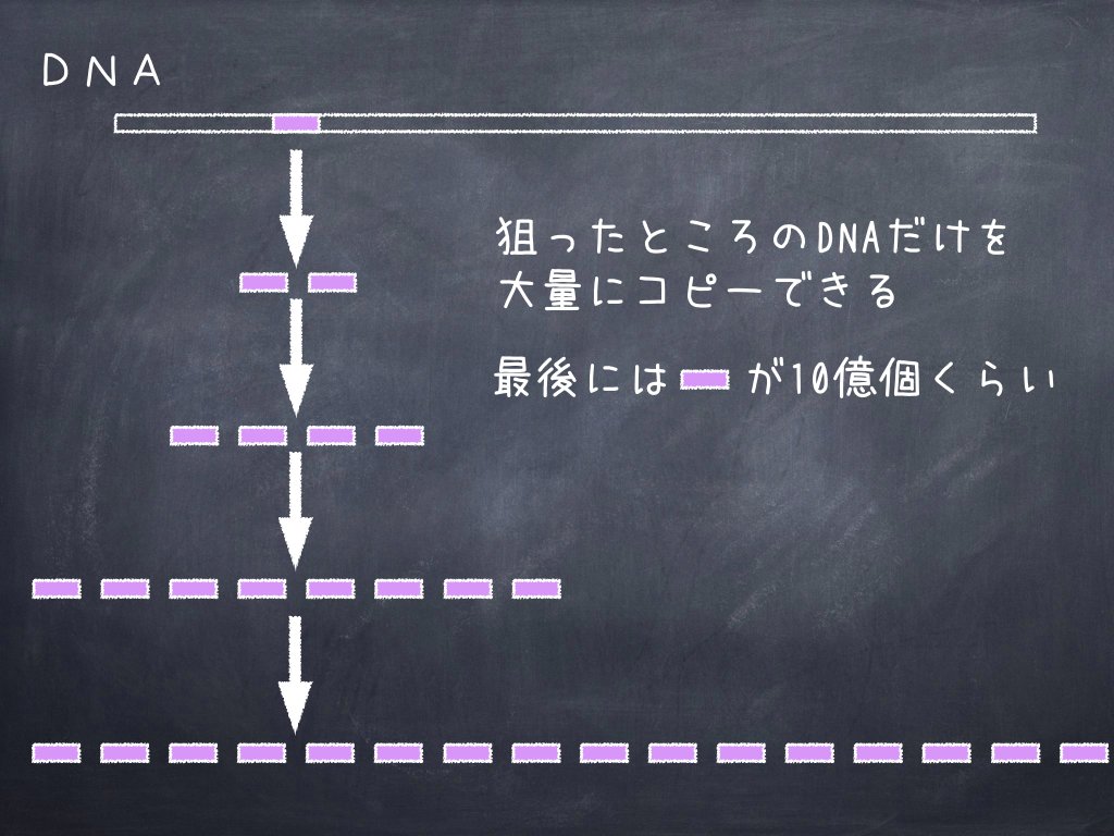 コロナで注目のPCR、実はノーベル賞を取った「革命的技術」を徹底解説