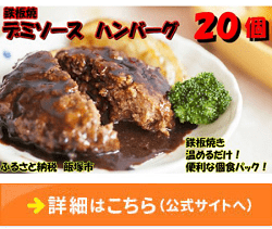 「福岡県飯塚市」の「鉄板焼ハンバーグ デミソース 20個」