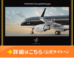 「福岡県行橋市」の「スターフライヤーのスターリンク マイル」