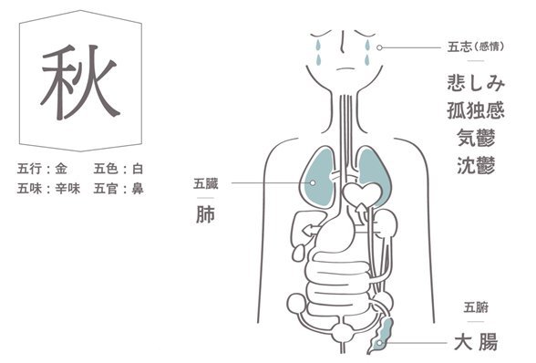 顔を見れば健康状態がわかる 危険な顔色 5つのタイプ News Analysis ダイヤモンド オンライン