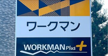 これは全色買いしたい！ワークマンの「980円トップス」着回しバツグンで万能すぎる！ほんのり透け感がオシャレで、秋までたっぷり着回せます！