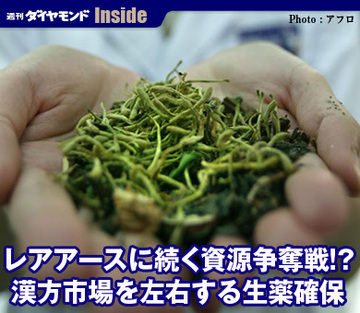 レアアースに続く資源争奪戦!?漢方市場を左右する生薬確保