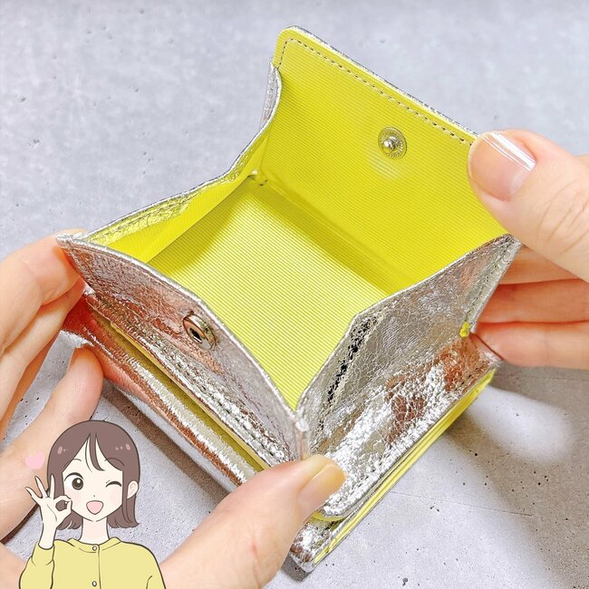 小銭が取りやすくて感動！ニコアンドの「ガバッとひらくミニ財布」カードが10枚入るし、お会計がラクちん！《購入レビュー》