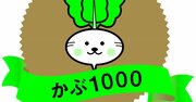 【就職せず株式投資で5億円】大損しないための適度な分散投資とは？