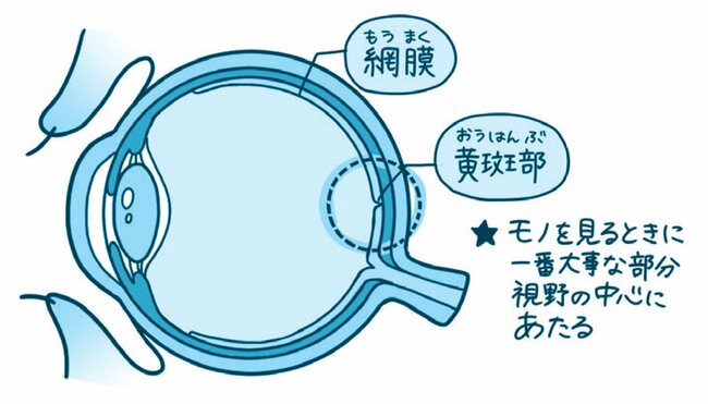 【ハーバード×スタンフォードの名医が教える】「ぼんやりとモヤがかかったように見える」という症状に隠された重篤な目の病気とは？