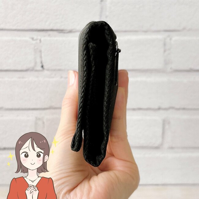 カードや診察券が9枚入った！ダイソーの「首にかけれるミニ財布」お会計がスムーズにできて嬉しい…！