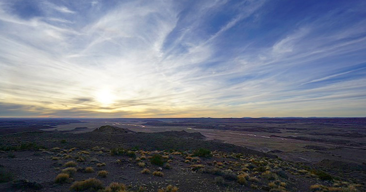映画 捜索者 を観たときの強い違和感と陰惨な印象の正体 橘玲の世界投資見聞録 橘玲 Zai Online海外投資の歩き方 ザイオンライン