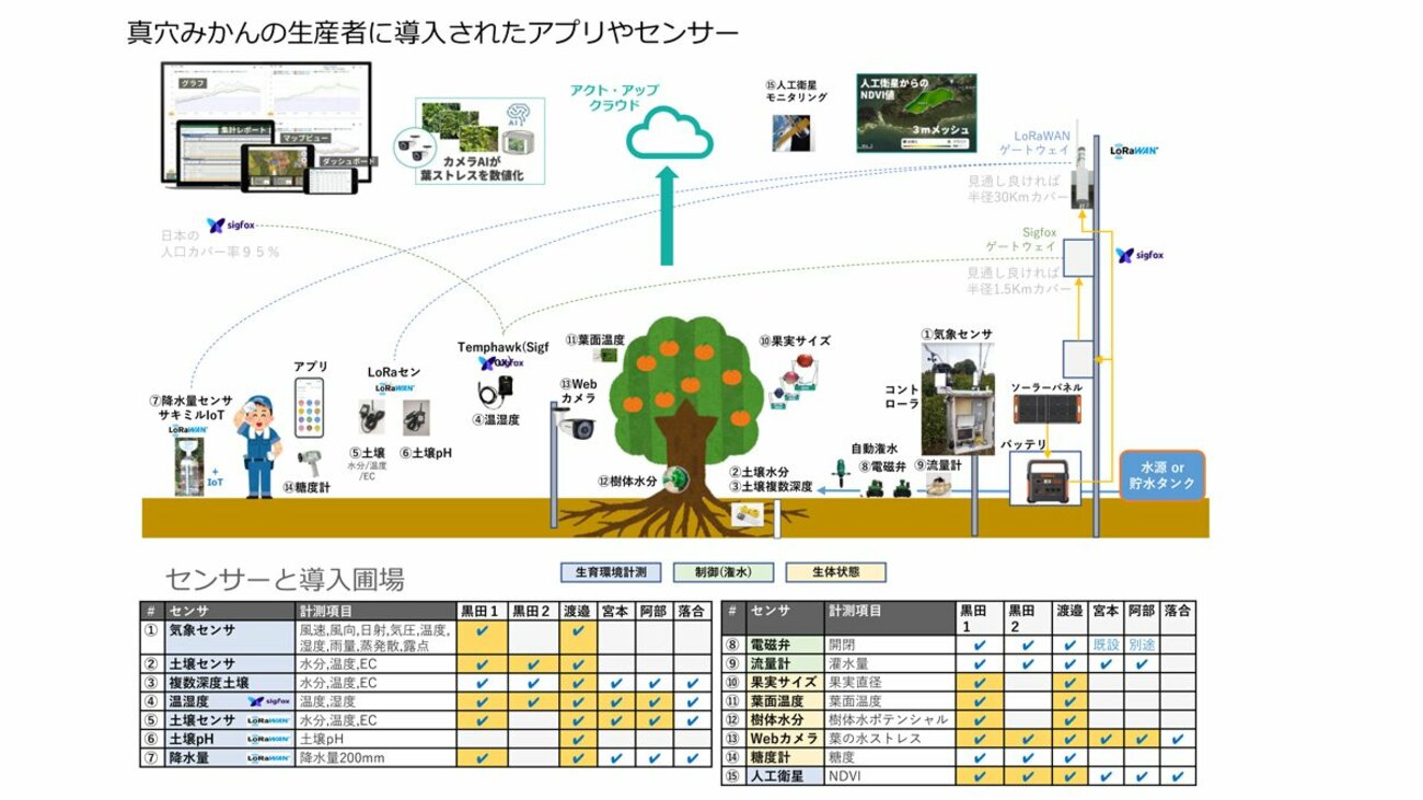 トライアングルエヒメ事例1:デジタルデータの活用で「真穴みかん」の栽培モデルを拡大