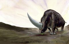 動物学者が「今こそ『絶滅』を学ぶべき」と語る理由