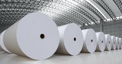 【独自】丸住製紙「極秘再建プラン」の全容を公開！コンサル大手が描いた名門再生“幻の25施策”