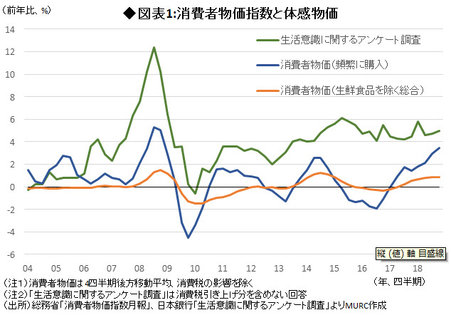 図表1:消費者物価指数と体感物価