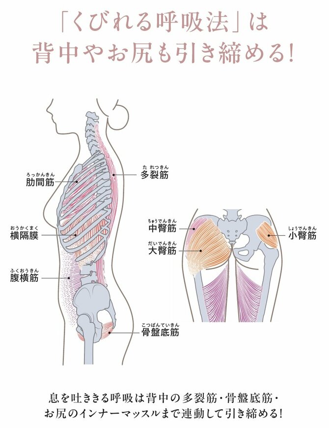【くびれづくりのプロが伝授】くびれができない人に共通する4つの特徴とは？ 自然に絞れる1つの習慣