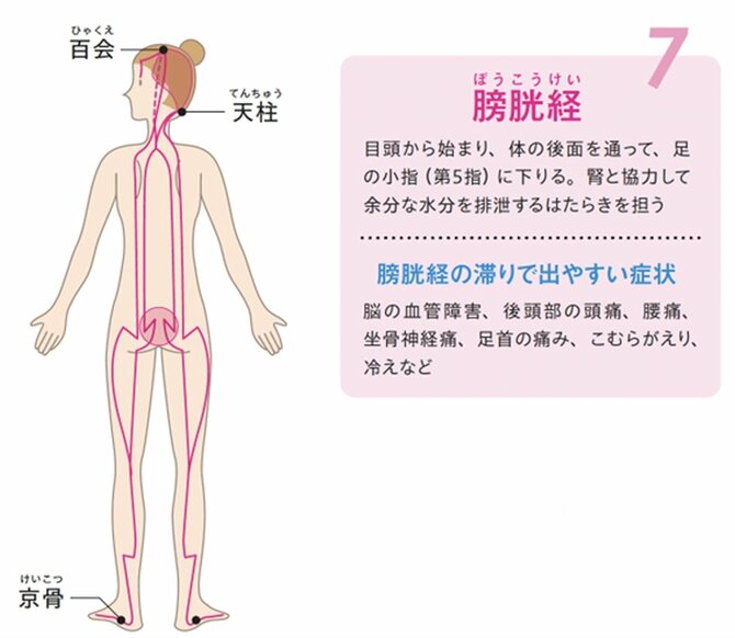 【整体プロが指南】歳を重ねて「目が小さくなる人」「ならない人」の違いとは？重たいまぶたもスッキリ「2つの習慣」