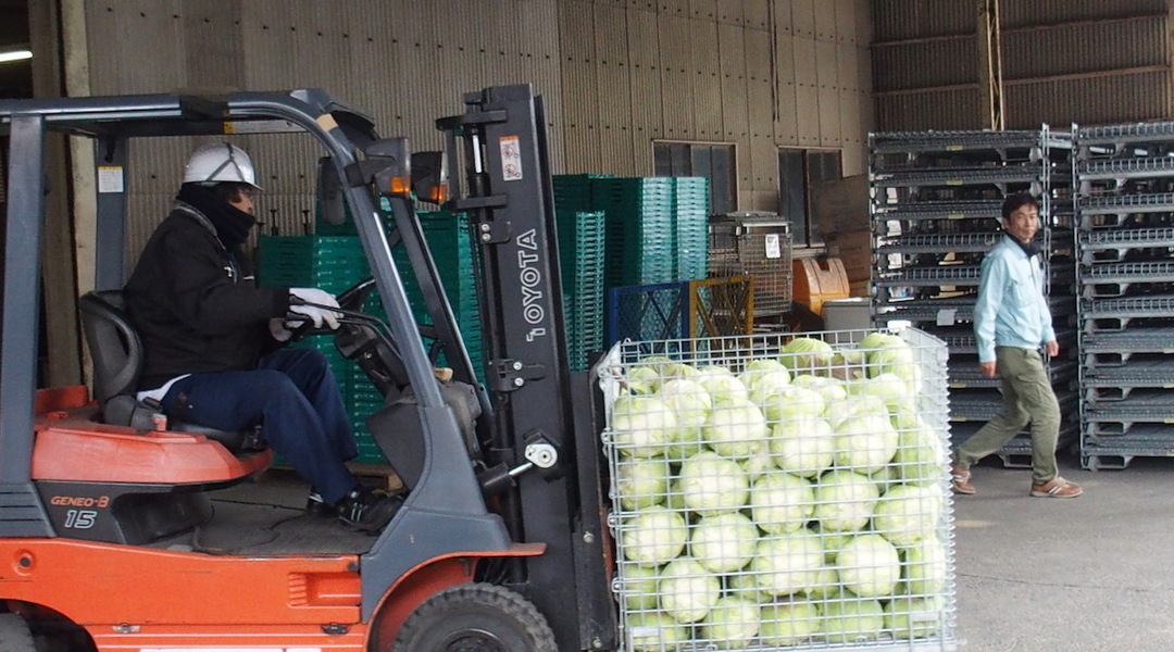 野菜の流通