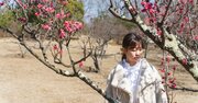 【明治？ 立教？】学生に聞いたMARCHの就活事情はどう違う？【2025年最新版】
