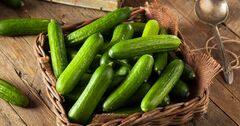 ネイティブの英語“cool as a cucumber”「キュウリみたいにクール」一体どういう意味？