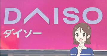 万能すぎて何個でも欲しい！ダイソーで見つけた“220円ケース”が家中で大活躍！