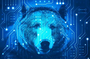 市場のAI熱狂、懐疑派の眠り覚ます