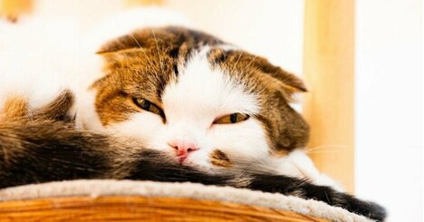 20年間「将来のために今を犠牲にする働き方」を続けた結果