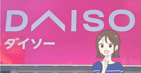 万能すぎて何個でも欲しい！ダイソーで見つけた“220円ケース”が家中で大活躍！