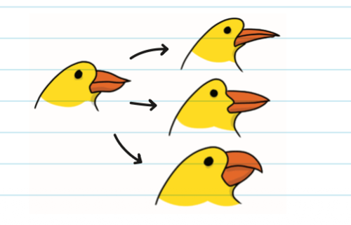 くちばしのある鳥。