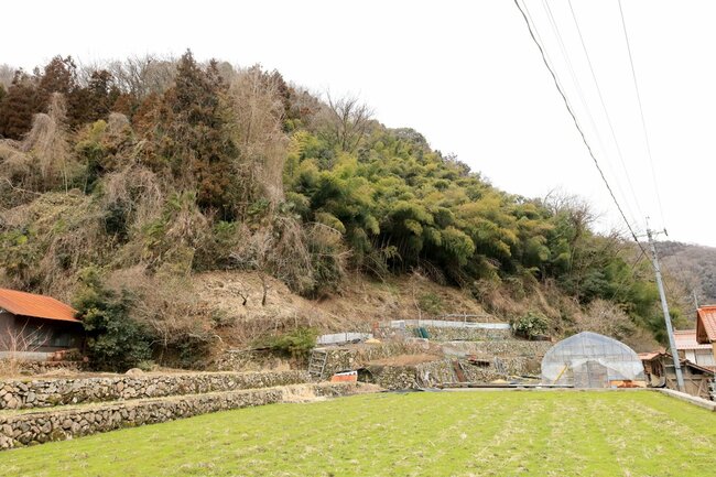 2023年6月16日、島根県邑南町で男性が襲われ失明した現場