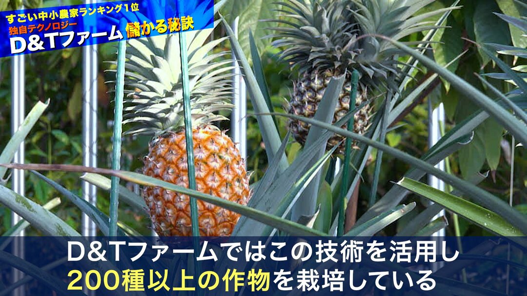 儲かる農業#7-5