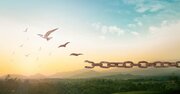 【「お金と時間の自由」を最速で獲得】FIREの先にある「本当の自由」とは？