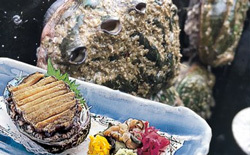 「岩手県大船渡市」の「三陸産 産地直送”活”蝦夷アワビ10個」