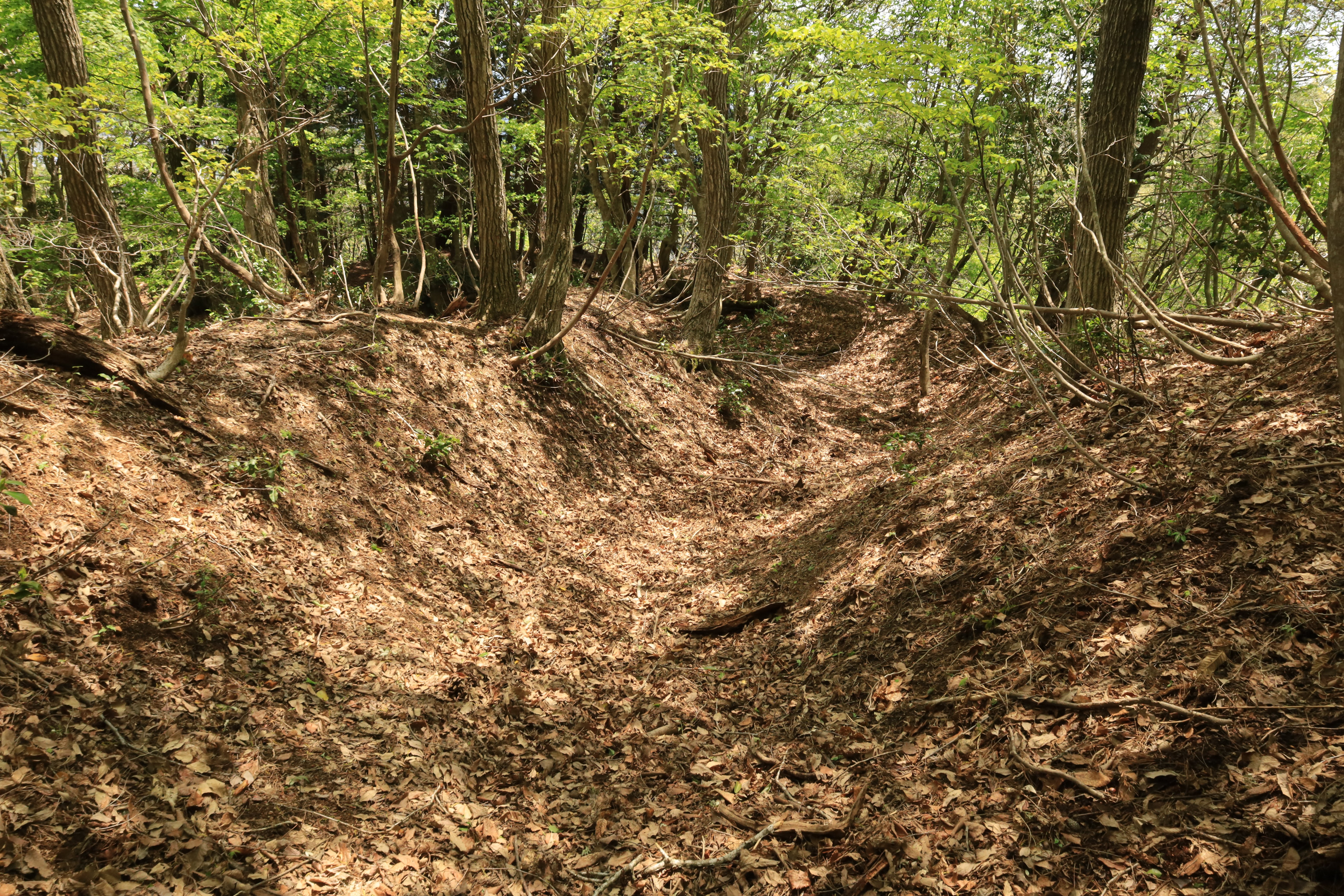 別所山砦から行市山砦方面へ延びる軍用路