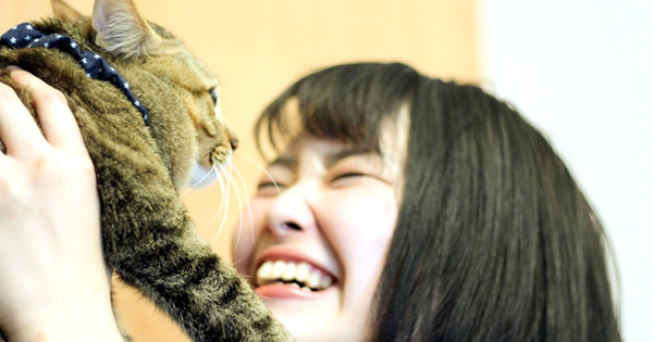 ご近所の猫飼いさんに世話を頼める、飼い主マッチングサービスが登場