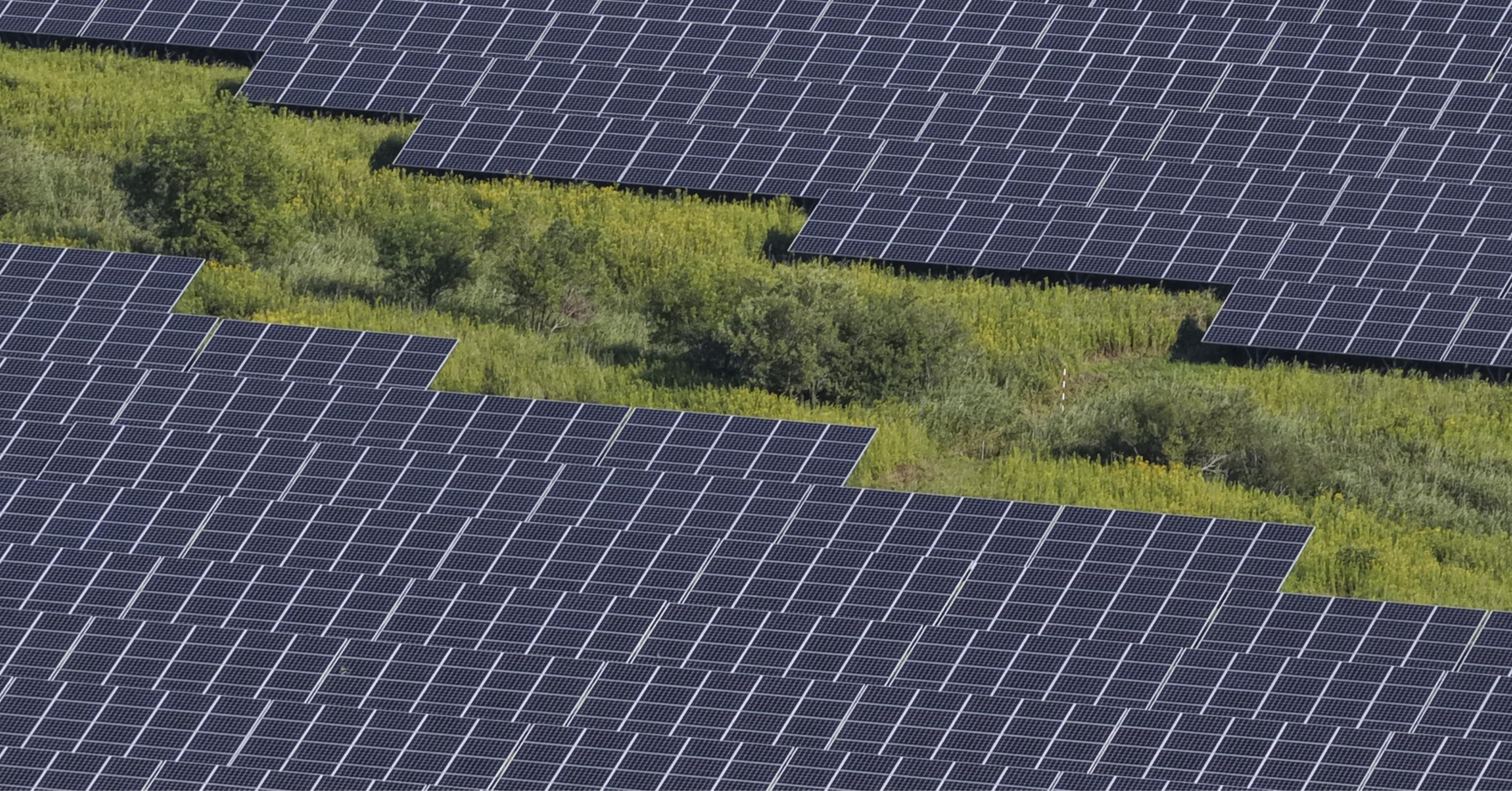 釧路湿原周辺に建設されたメガソーラー（大規模太陽光発電所）