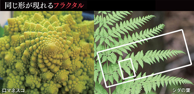 同じ形が現れるフラクタル