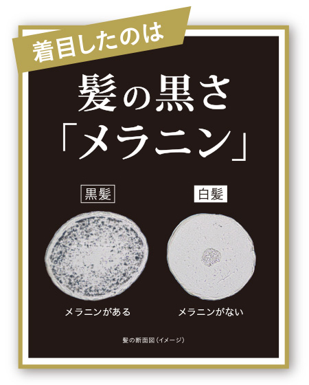 白髪を魅力的に見せるビジネスパーソンの心得