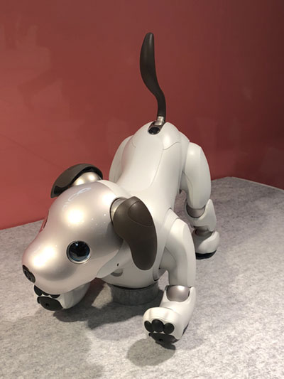 「AIBO」「Pepper」などの協働型ロボットは、なぜ欧米で受け入れられなかったか 「AIBO」「Pepper」などの協働型ロボットは、なぜ欧米で受け入れられなかったか