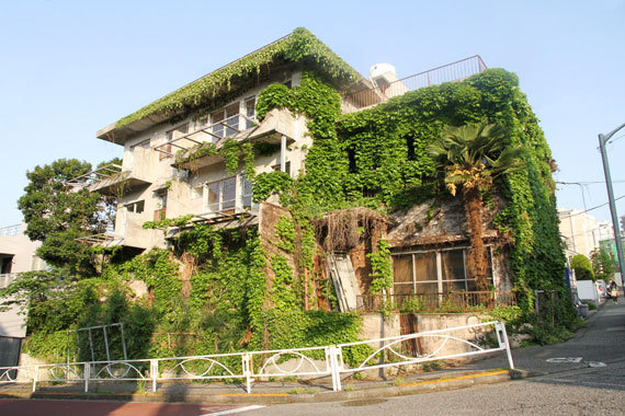 「自由に働く学部」「日本を楽しむ学部」「丁寧に暮らす学部」……、自由大学から始まる「水平な学び」