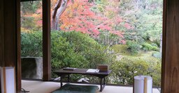 【天才美少年→流刑】日本史上「最も落差が激しい人物」ナンバー1